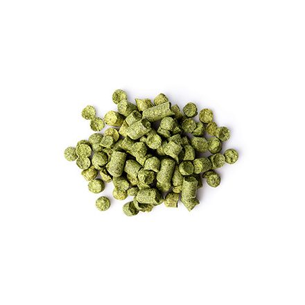 Citra hops 1kg - 2022