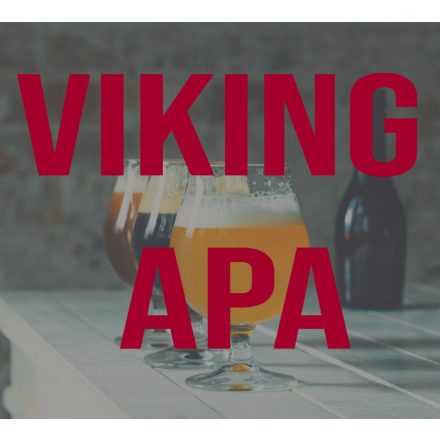 Viking APA 21L