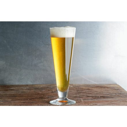 American Light Lager 21L